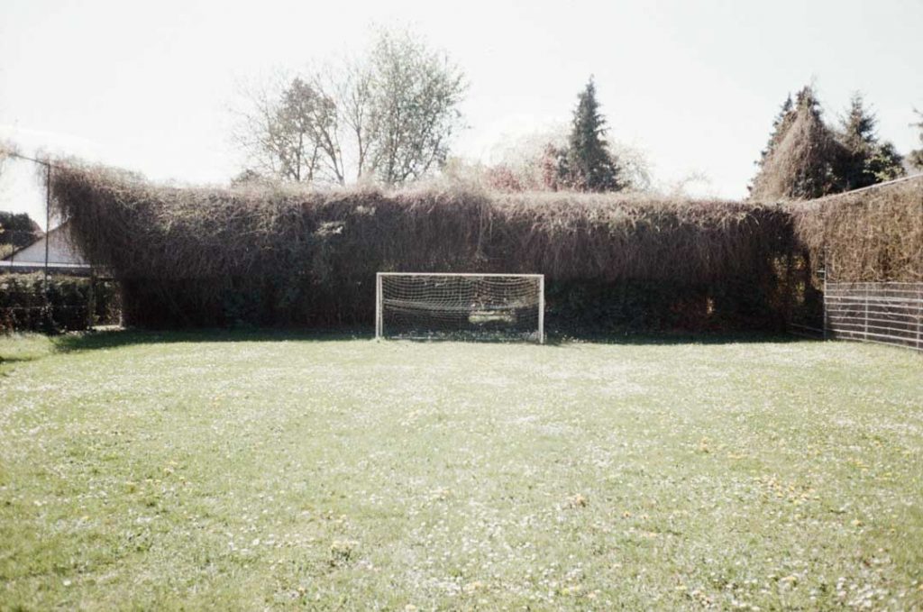 Fußballtor in der Sonne.